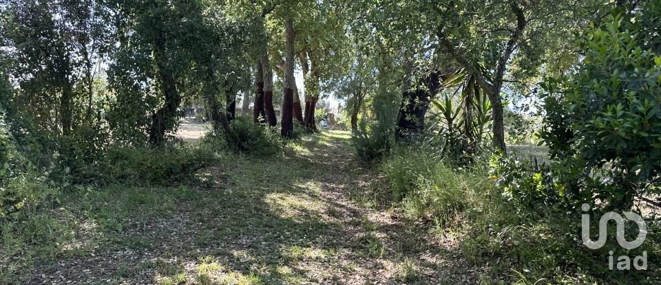 Terreno em Arneiro das Milhariças de 3 640 m²