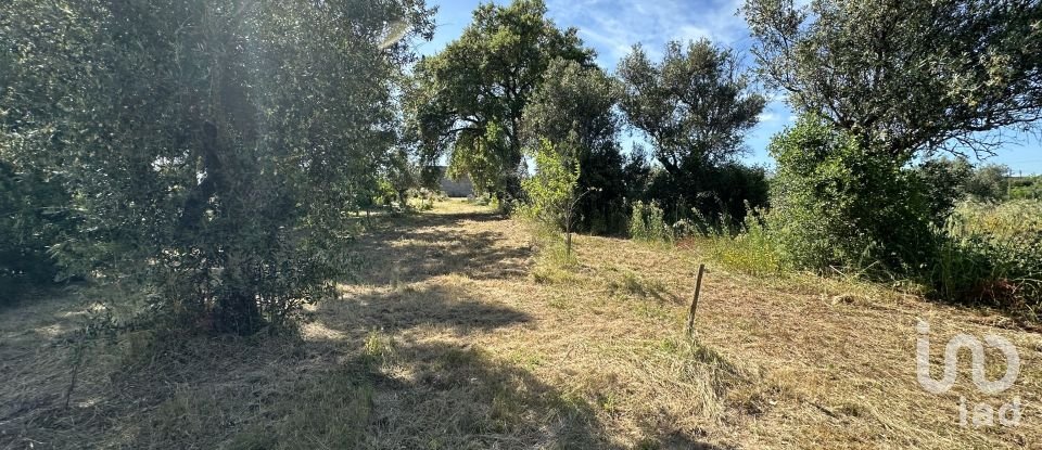 Terreno em Arneiro das Milhariças de 3 640 m²