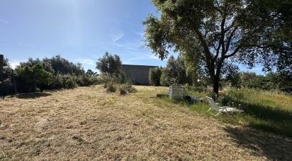 Terrain à Arneiro das Milhariças de 3 640 m²