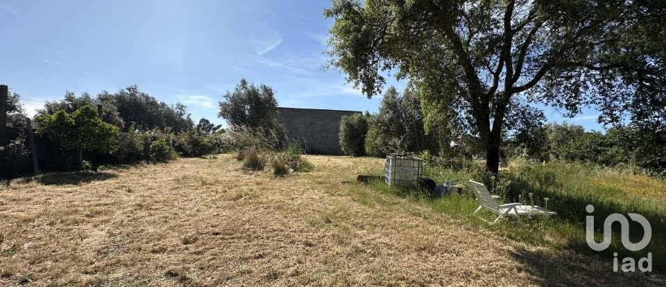 Terreno em Arneiro das Milhariças de 3 640 m²