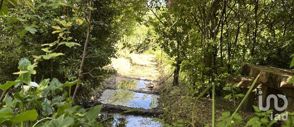 Terreno em Arneiro das Milhariças de 3 640 m²