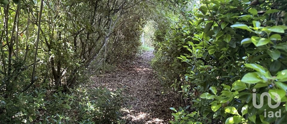 Terreno em Arneiro das Milhariças de 3 640 m²