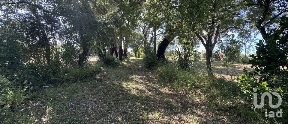 Terreno em Arneiro das Milhariças de 3 640 m²