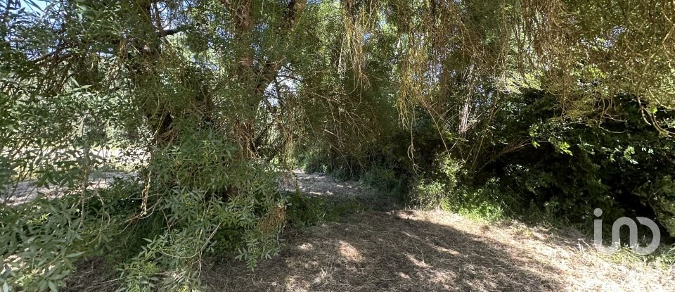 Terreno em Arneiro das Milhariças de 3 640 m²