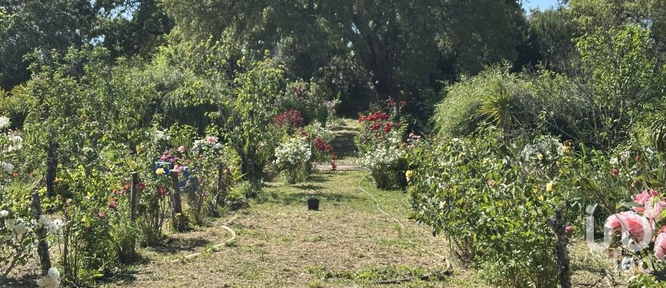 Terreno em Arneiro das Milhariças de 3 640 m²