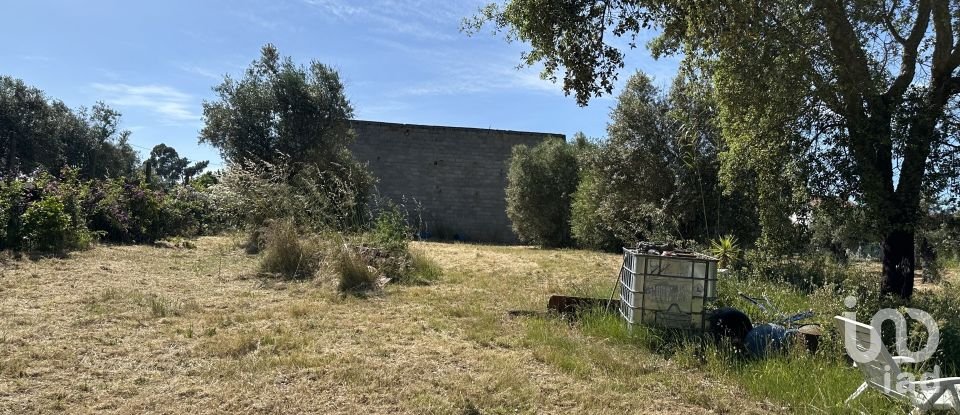 Terreno em Arneiro das Milhariças de 3 640 m²