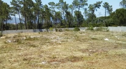 Terrain à Malhou, Louriceira e Espinheiro de 5 620 m²