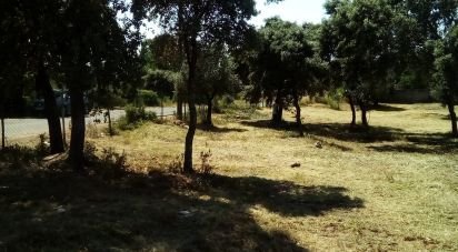 Terrain à Malhou, Louriceira e Espinheiro de 5 620 m²