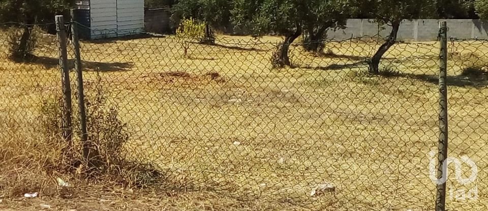 Terreno em Malhou, Louriceira e Espinheiro de 5 620 m²