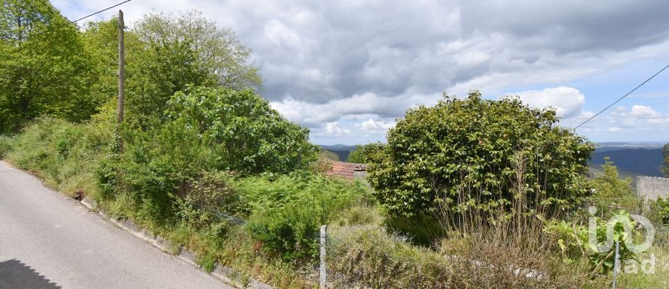 Village house T3 in Vila Nova of 802 m²