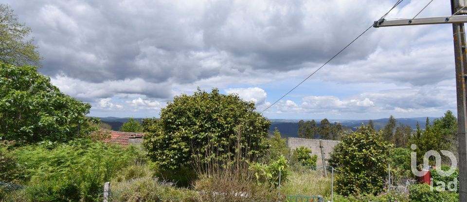 Village house T3 in Vila Nova of 802 m²