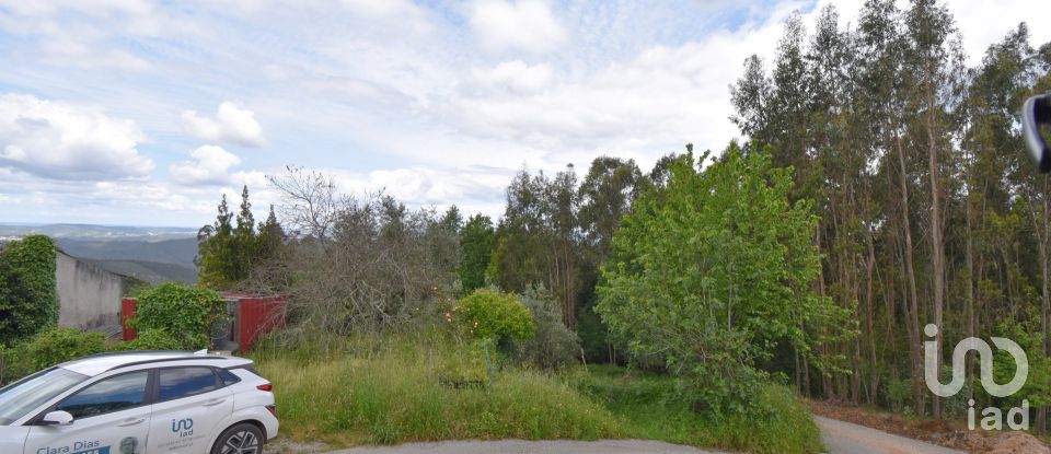 Village house T3 in Vila Nova of 802 m²