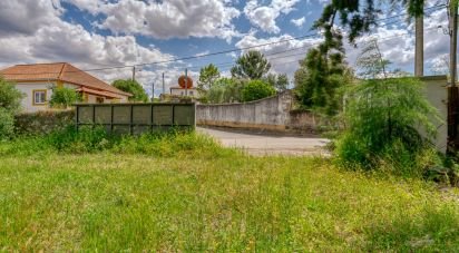 Terrain à bâtir à Paialvo de 40 760 m²