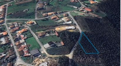 Terrain à Aguada de Cima de 2 446 m²