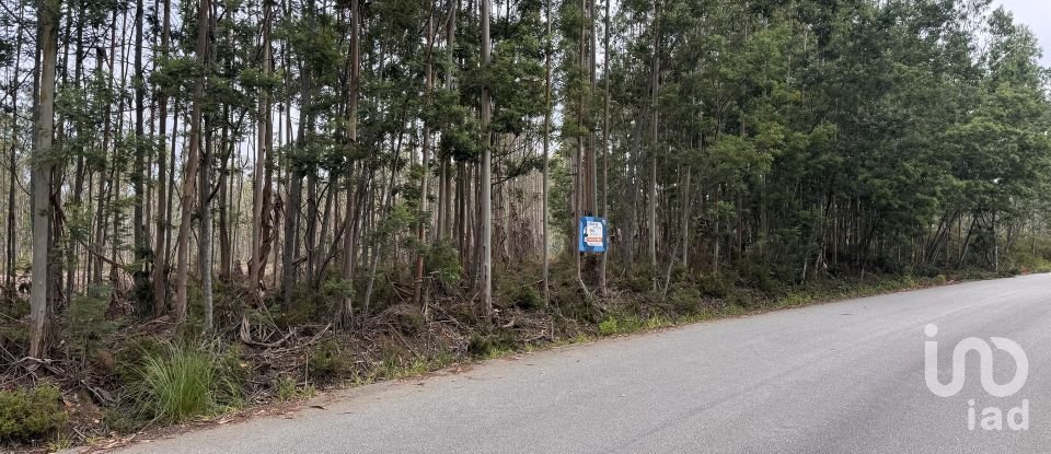 Terreno em Aguada de Cima de 2 446 m²