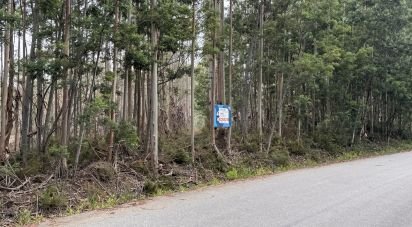 Terrain à Aguada de Cima de 2 446 m²