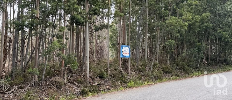 Terreno em Aguada de Cima de 2 446 m²