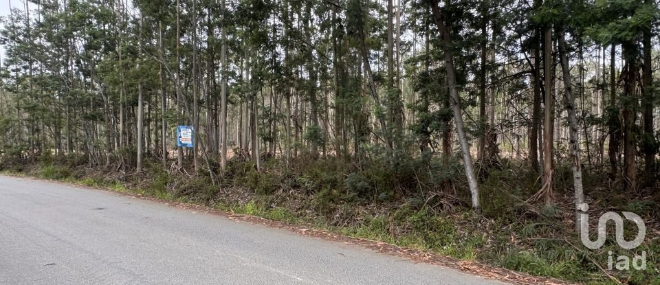 Terreno em Aguada de Cima de 2 446 m²