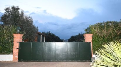 Maison T4 à Ponte de Sor, Tramaga e Vale de Açor de 302 m²