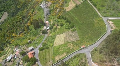 Land in Torgueda of 8,264 m²