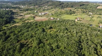 Terrain à Areias e Pias de 5 960 m²