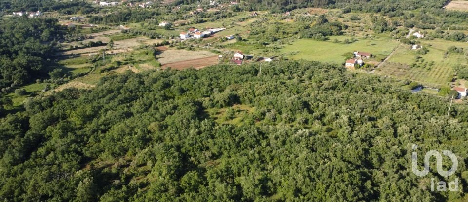 Terreno em Areias e Pias de 5 960 m²