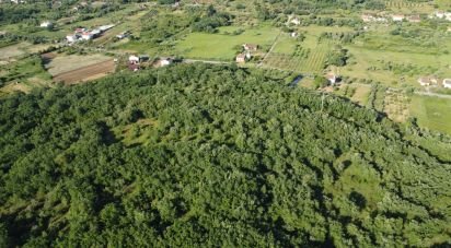 Terrain à Areias e Pias de 5 960 m²