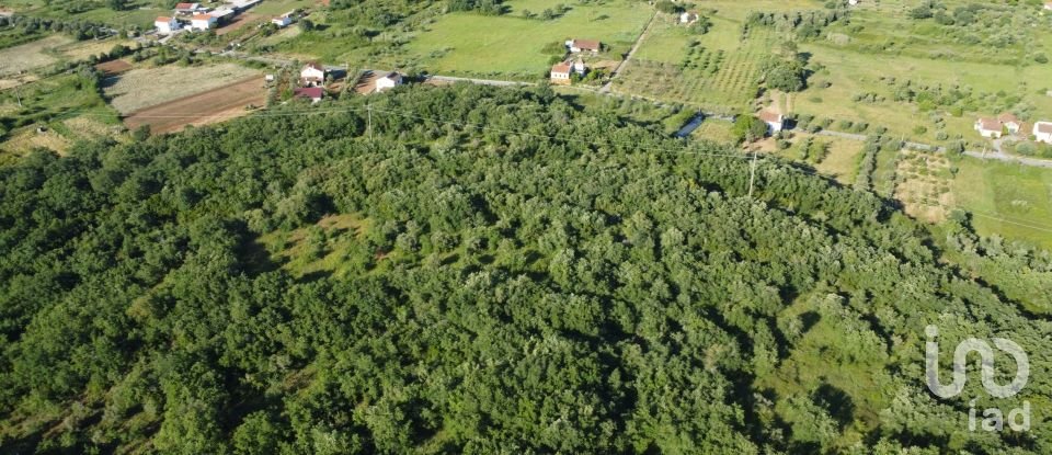 Terreno em Areias e Pias de 5 960 m²