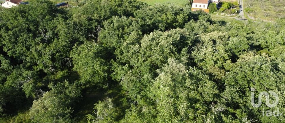 Terreno em Areias e Pias de 5 960 m²