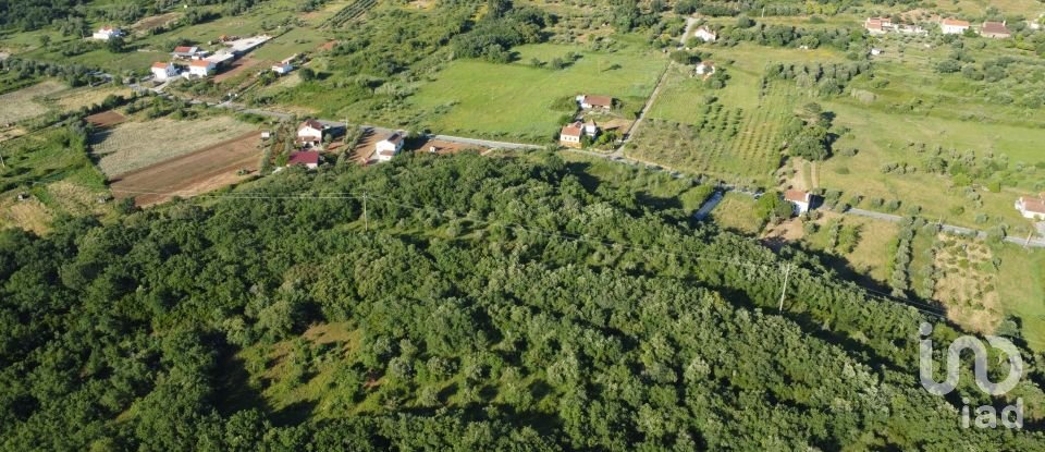 Terreno em Areias e Pias de 5 960 m²