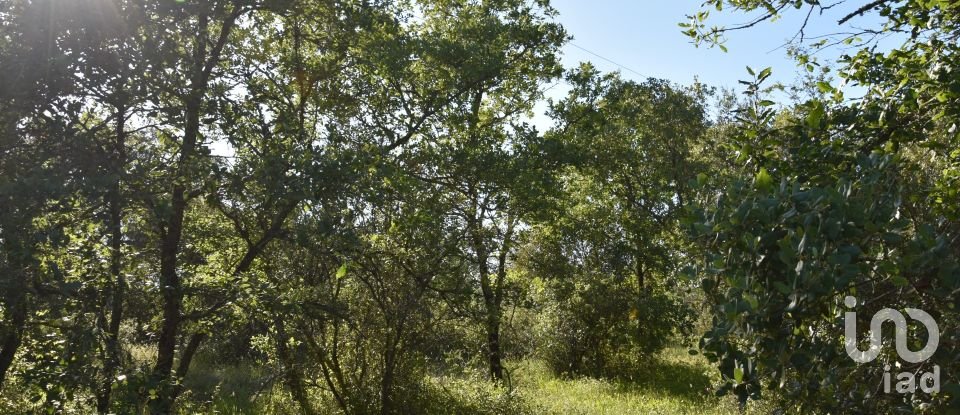 Terreno em Areias e Pias de 5 960 m²