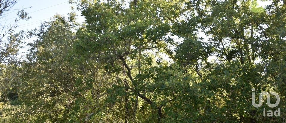 Terreno em Areias e Pias de 5 960 m²