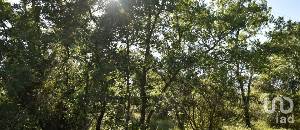 Terreno em Areias e Pias de 5 960 m²