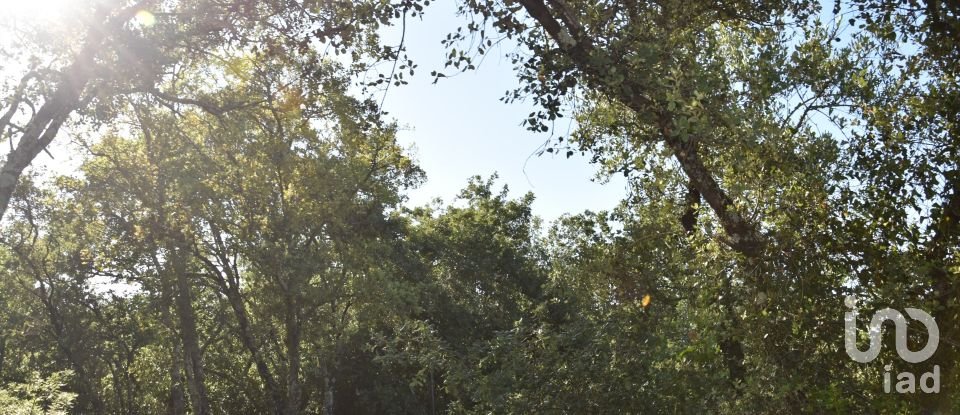 Terreno em Areias e Pias de 5 960 m²