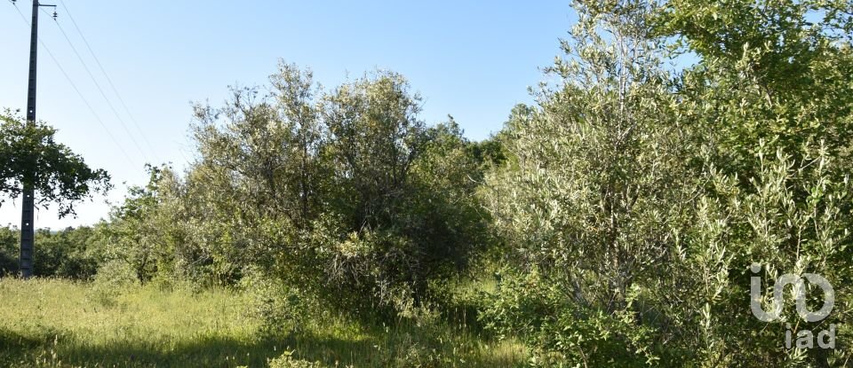 Terreno em Areias e Pias de 5 960 m²