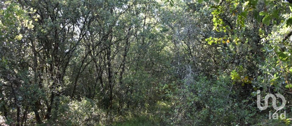 Terreno em Areias e Pias de 5 960 m²