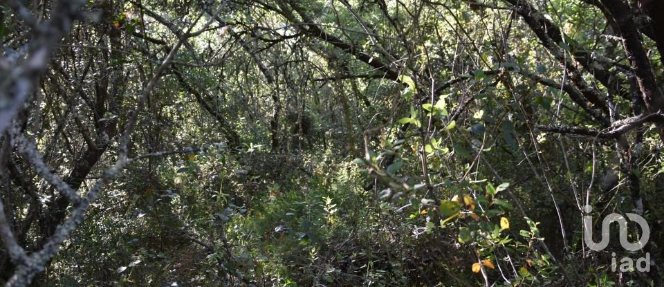 Terreno em Areias e Pias de 5 960 m²