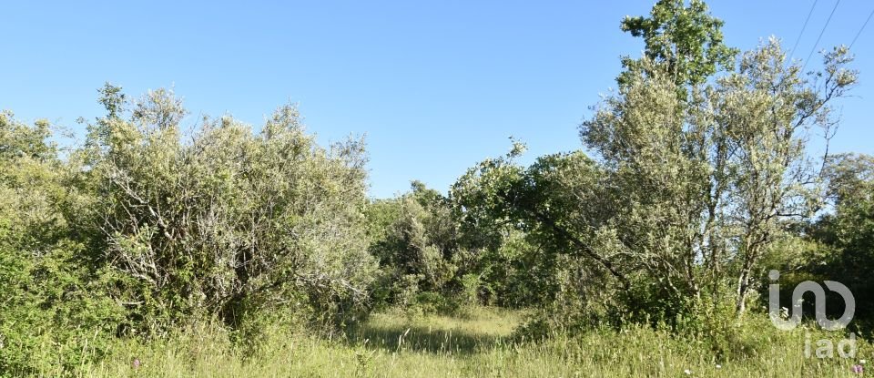 Terreno em Areias e Pias de 5 960 m²