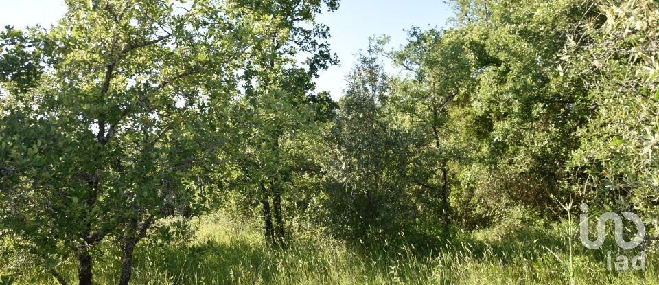 Terreno em Areias e Pias de 5 960 m²