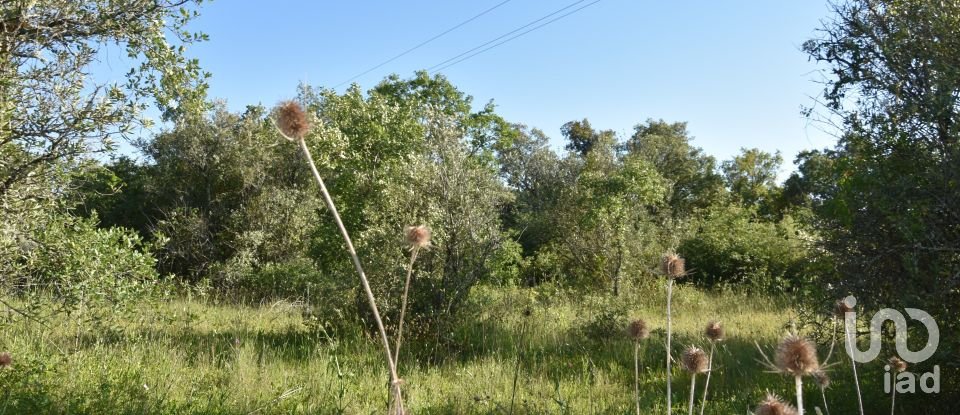 Terreno em Areias e Pias de 5 960 m²