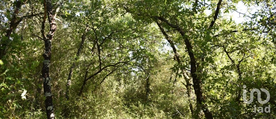 Terreno em Areias e Pias de 5 960 m²