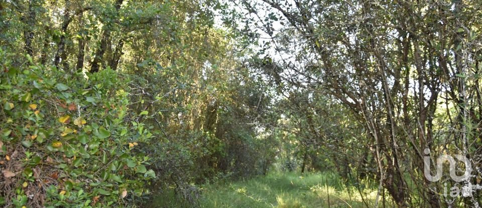 Terreno em Areias e Pias de 5 960 m²