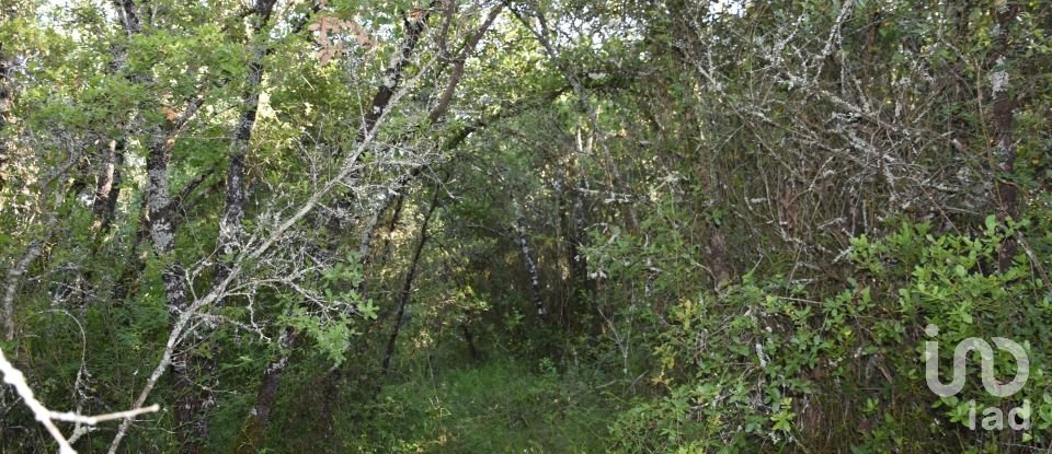 Terreno em Areias e Pias de 5 960 m²