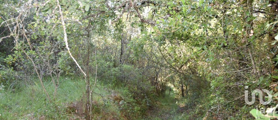 Terreno em Areias e Pias de 5 960 m²