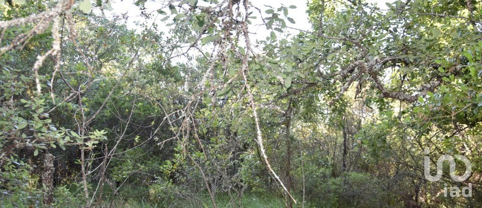 Terreno em Areias e Pias de 5 960 m²