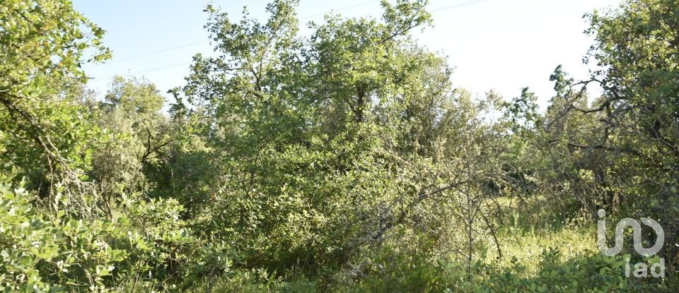 Terreno em Areias e Pias de 5 960 m²