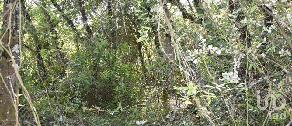 Terreno em Areias e Pias de 5 960 m²