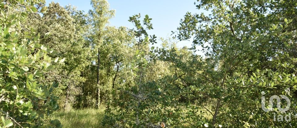 Terreno em Areias e Pias de 5 960 m²