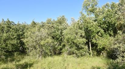 Terrain à Areias e Pias de 1 440 m²