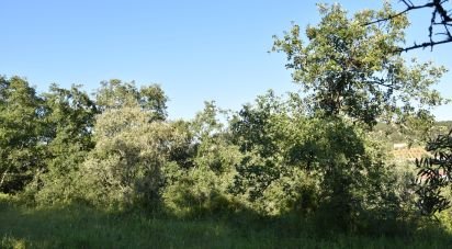 Terrain à Areias e Pias de 1 440 m²